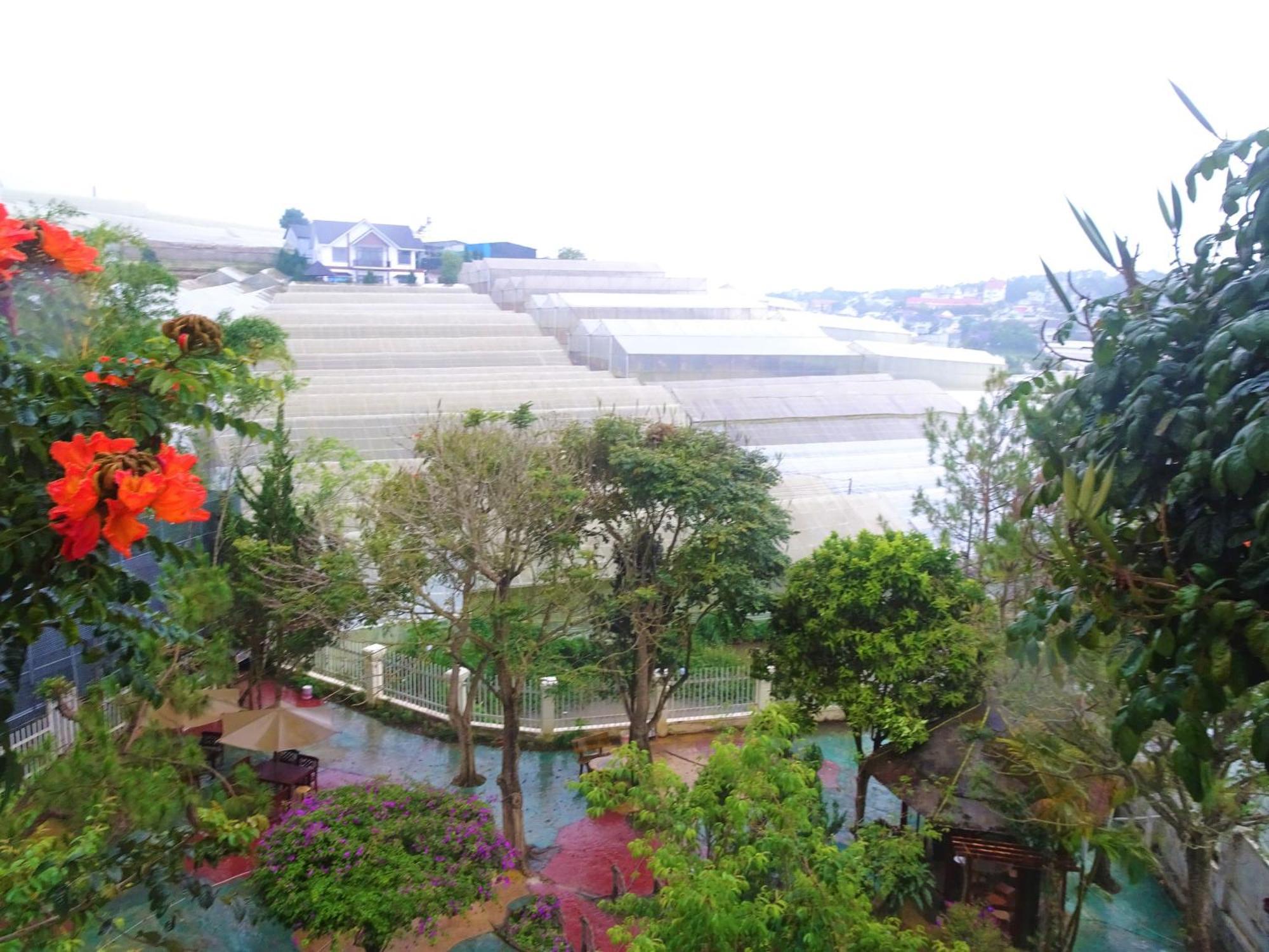 MENTO Villa Đà Lạt Extérieur photo