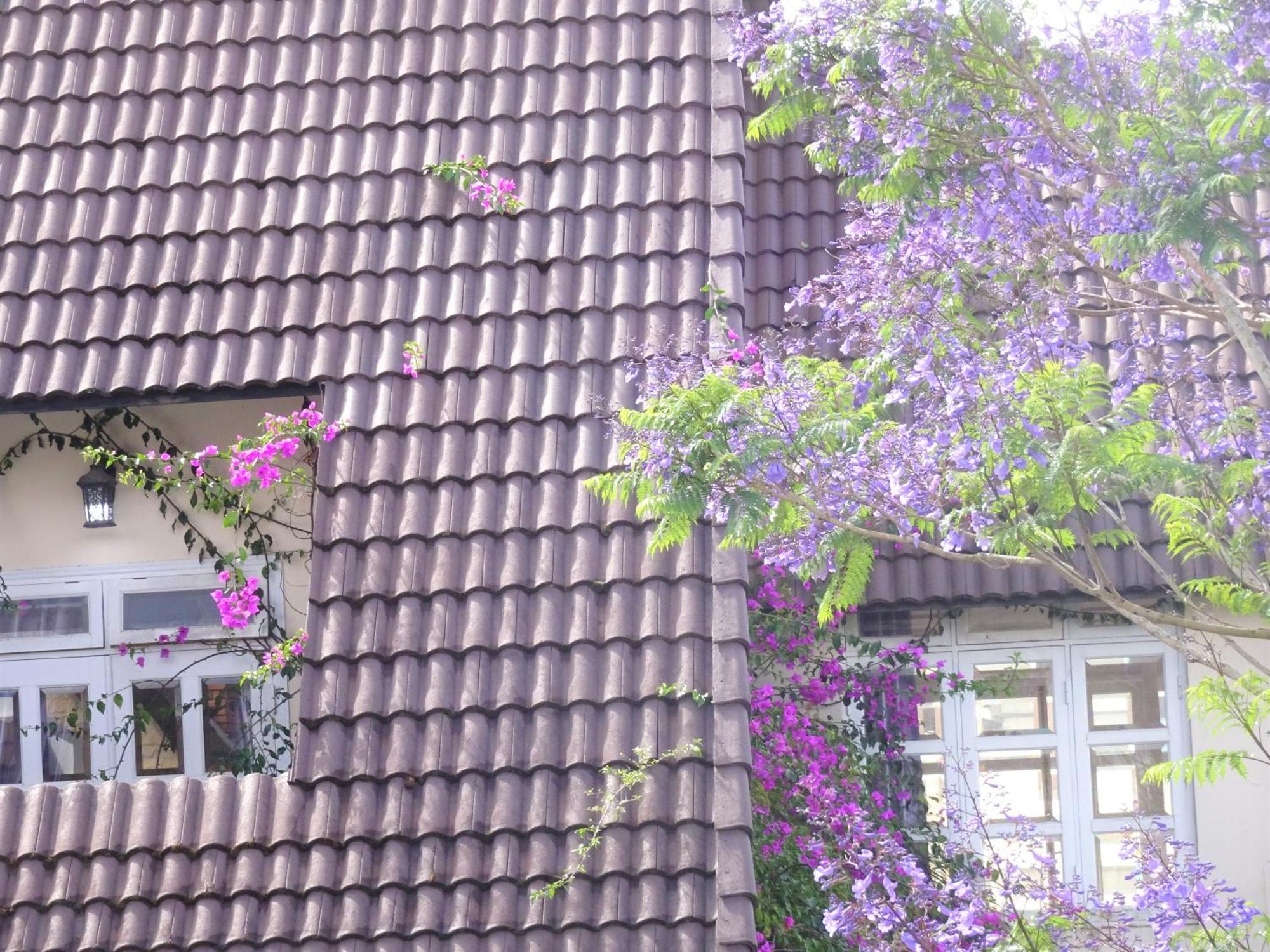 MENTO Villa Đà Lạt Extérieur photo